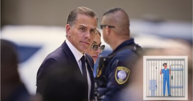 El hijo del presidente de EE.UU. fue hallado culpable de tres cargos federales por delitos con armas de fuego. Los expertos sugieren que la pena podría ser menor debido a su falta de antecedentes penales.