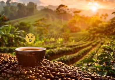 Aunque millones disfrutan del café a diario, pocos saben que puede contener toxinas como clorpirifós, mohos y aflatoxinas, dañinas para la salud humana.